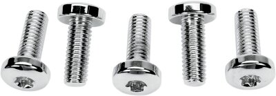 Rr.rotor Torx 97-09 B.t.