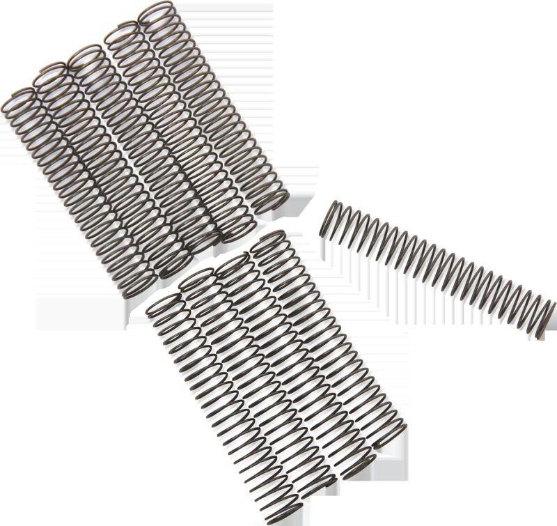 Ck Valve Sprng 81-99 Bt