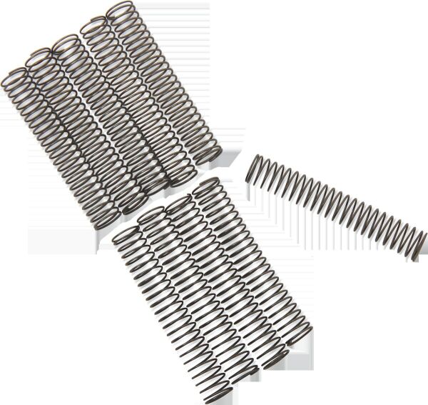 Ck Valve Sprng 81-99 Bt