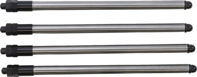 Chrmmoly P/rods99-17 Tc