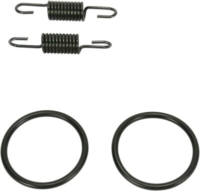 Spring/oring Kit Kx80/100