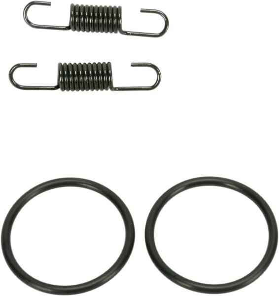 Spring/oring Kit Kx125