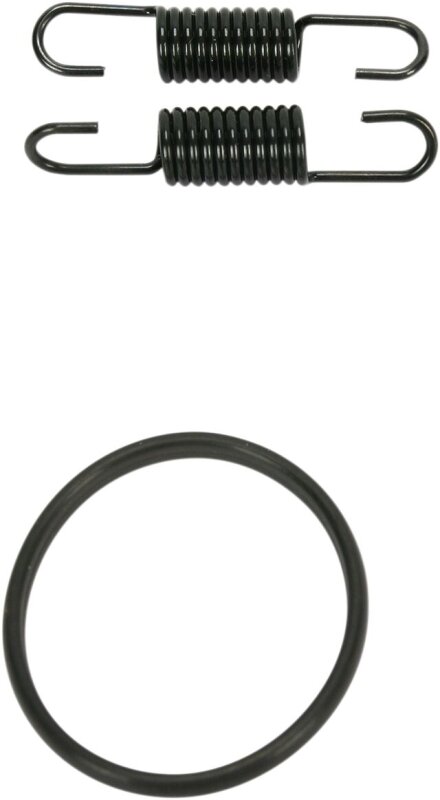 Spring/oring Kit Rm125