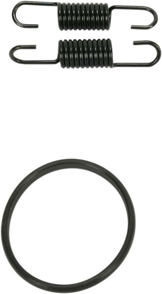 Spring/oring Kit Rm125