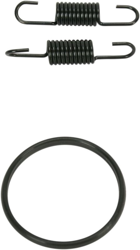 Spring/oring Kit Rm250