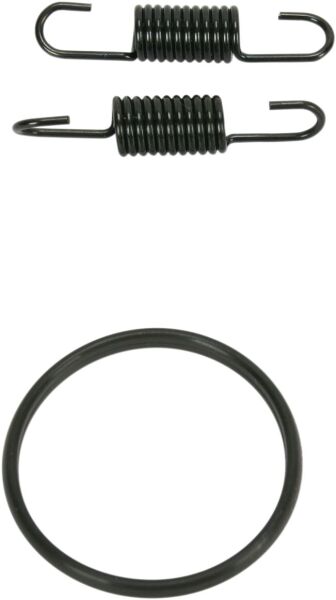 Spring/oring Kit Rm250