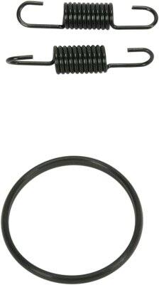 Spring/oring Kit Rm250