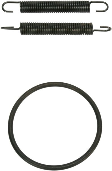 Spring/oring Kit Yz250