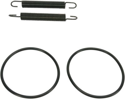 Spring/oring Kit Yz250