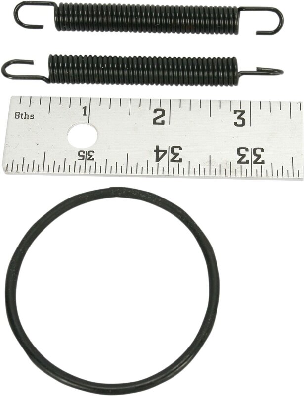 Spring/o-ring Kit 250r