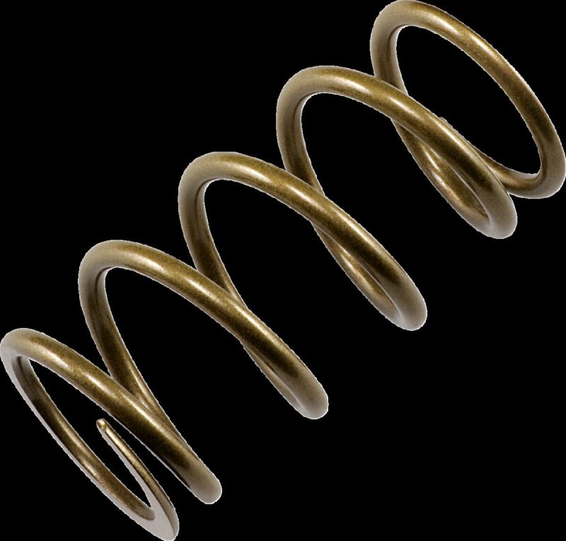 Primary Spring Gold