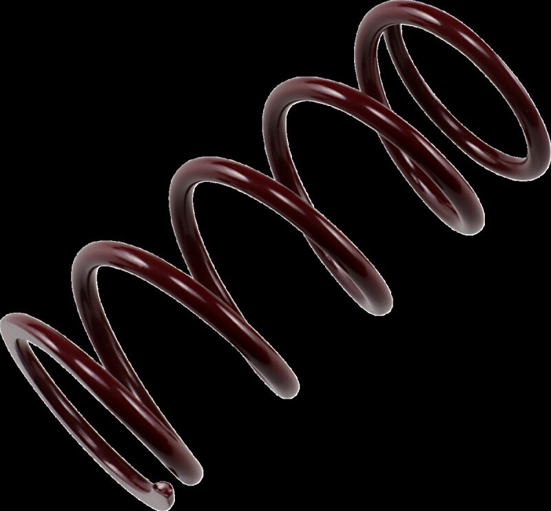 Primary Spring Maroon