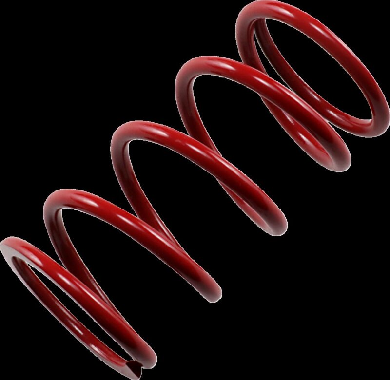 Primary Spring Red