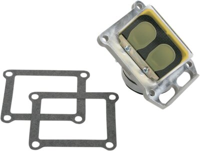 Rad Valve Yz125 01-02