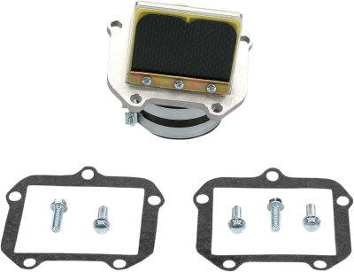 Rad Valve Ktm380sx 98-02