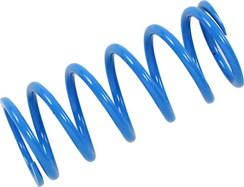 Primary Spring Blue