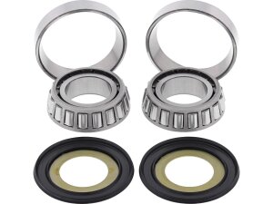 Steering Bearing Kit Including Seals and Bearings with Races