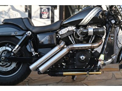 Firestarter Exhaust System , Raw Hole Heat Shield, Polished Smooth End Cap, Outline 2,5"