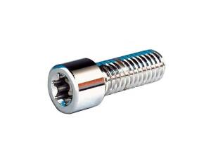 Torx Sockethead Screw Pack Chrome Grade 8 Torx 3/4"