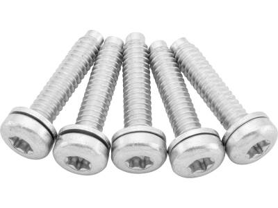 OEM Replacement Fuel Pump Screws for Sportster Models