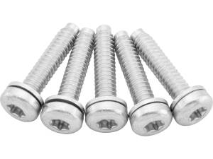 OEM Replacement Fuel Pump Screws for Sportster Models