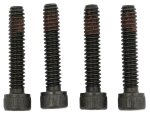 10-24 x 1" Torx Stator Mounting Screws Pack of 4