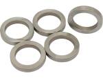 Twin Cam B Balancer Shaft Spacer .170 Pack 5