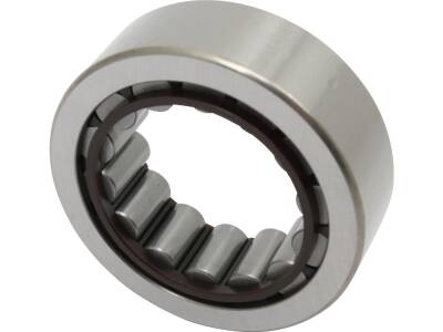 Right Side Pinion Shaft Bearing Each 1