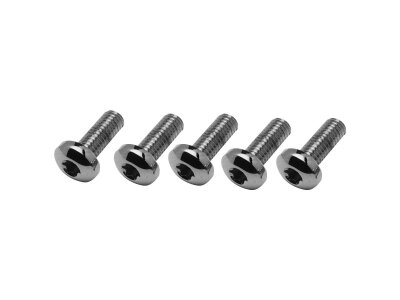 Brake Rotor Screw Kit 3/8" Chrome