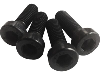 Front Fender Mounting Screws Black Galvanized