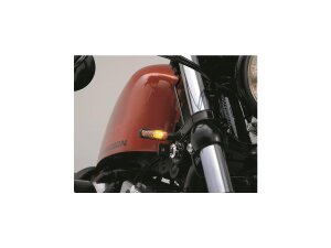 D-Light LED Turn Signal Aluminium Satin Clear LED