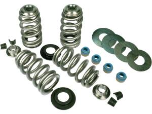 Endurance Beehive Valve Spring Kit