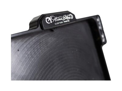ALL-INN 2.0 License Plate Base Plate Turn Signal/Brake Light/Taillight and License Plate Light, German Size 220x200mm Black Anodized