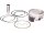 RevTech 110/100 4x4 Engines Generation 3 Piston 10:1 +.020 mm 1646 ccm (100 cui) 1802 ccm (110 cui)