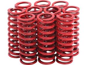 CLUTCH SPRINGS