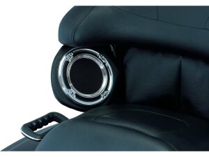 Rear Speaker Accents