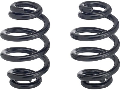 Barrel Seat Spring Black 4"