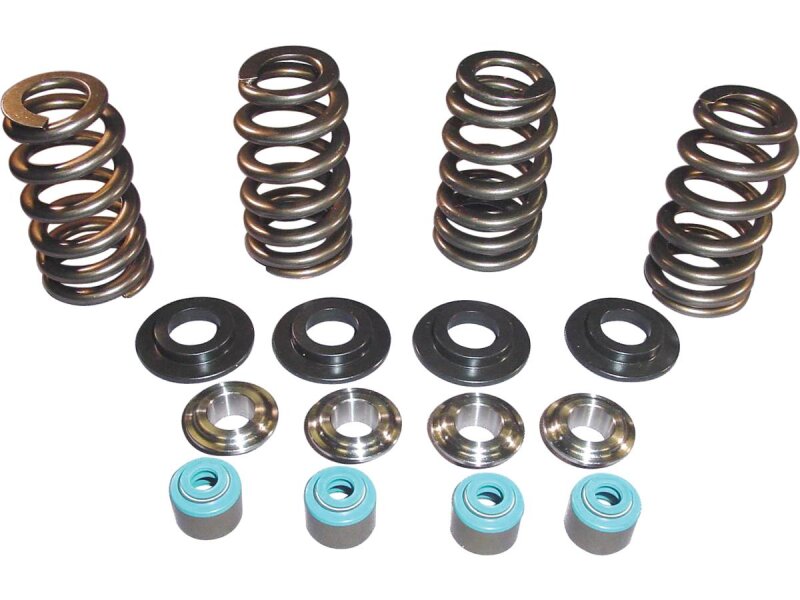 05 TC VALVE SPRING STL CLR