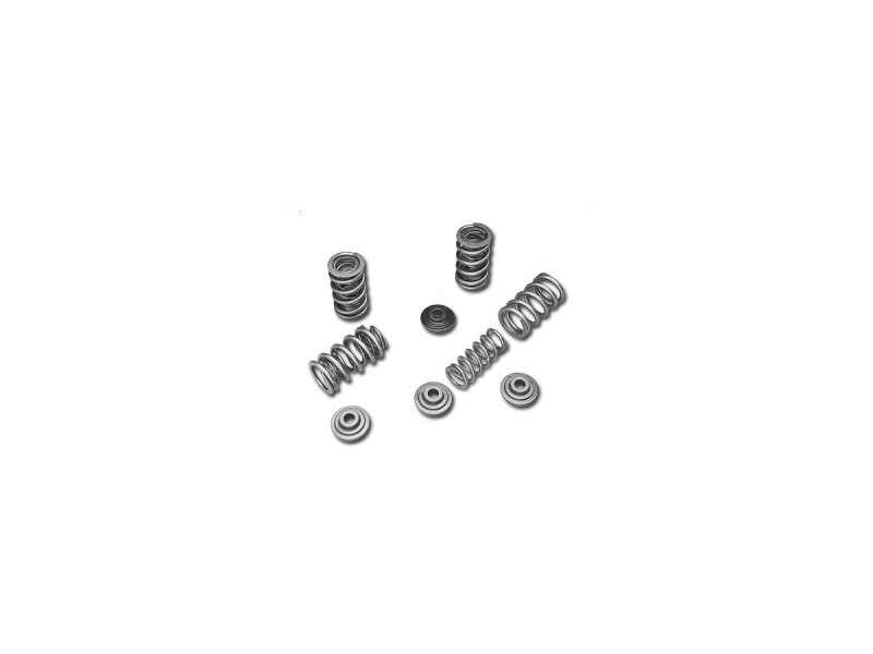 Valve Spring Kits