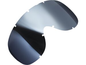 Arizona Google Lenses