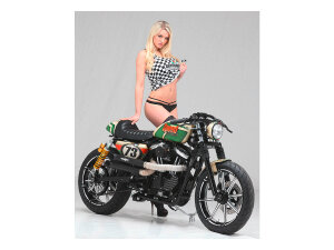 Velocity 2-Piece Brake Rotor Black Stainless Steel 11,5" Front