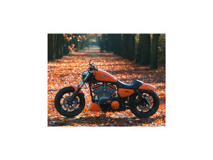 Eliminator 7 Belt Pulley Black 1 1/8" 70 teeth