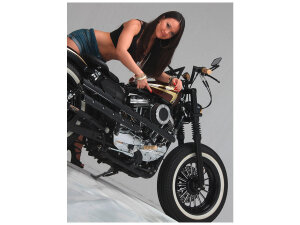 Nitro 18 Wheel Midnight Series 23" 3,50" ABS Single Flange Front