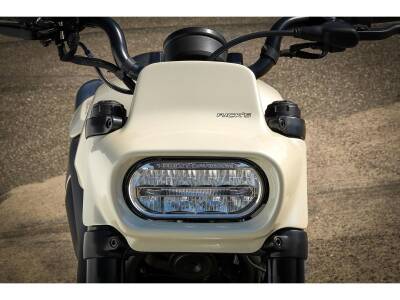 FAT NUMBER Headlamp Fairing for Sportster S Models Raw