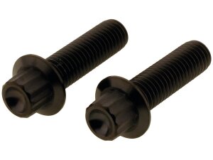 Titan Front Brake Caliper Screw Kit 2-Piece Black