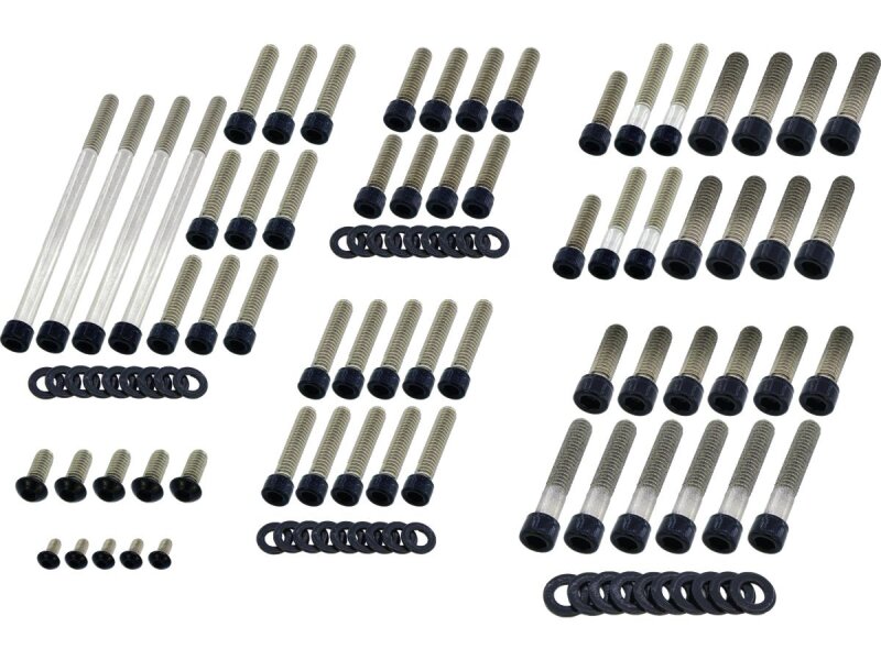 Complete Engine Screw Kit Screws for Dyna, Softail Primary-, Cam-, Inspection-, Derby-, Timer-, Tranny Side Cover, Rockerboxes, Lifterbase, Inner Primary Gloss Black Powder Coated