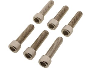 Triple Tree Screw Kit Stainless Steel