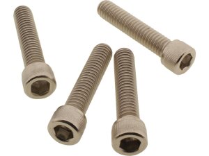 Front Fender Screw Kits Stainless Steel