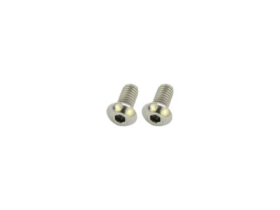 Point Cover Screw Kit Supplied are 2 screws Stainless Steel
