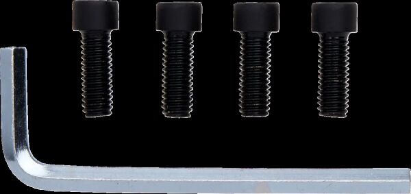 Center Cap 23x 4/110